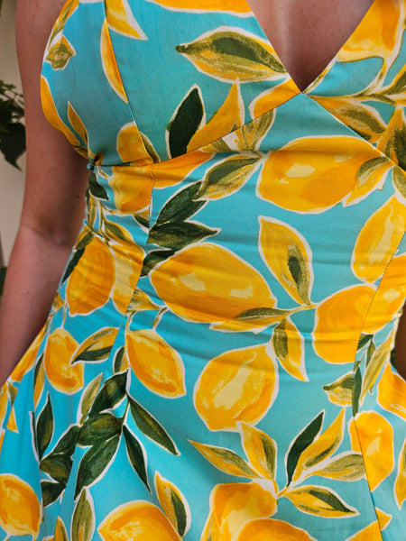 Give Me Lemons Maxi Dress